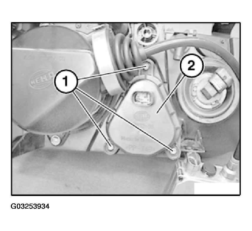 G03253934