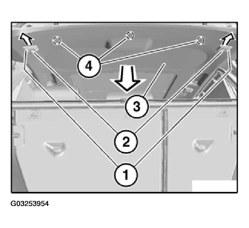 G03253954