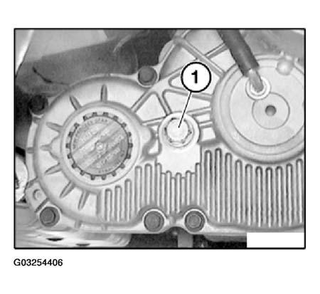 G03254406
