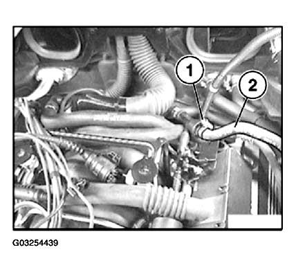 G03254439
