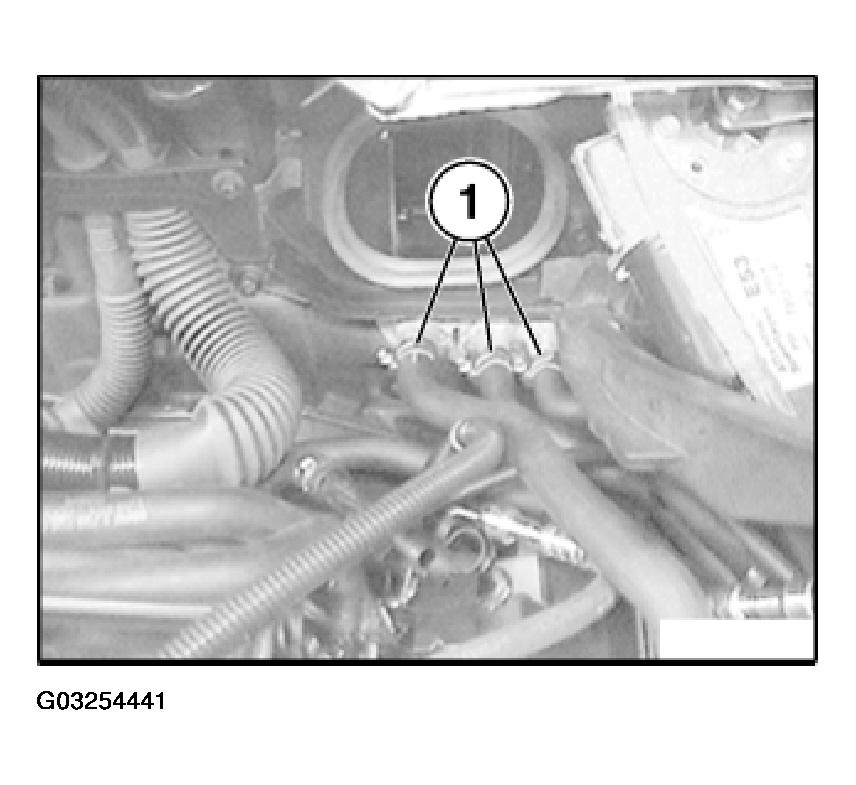 G03254441