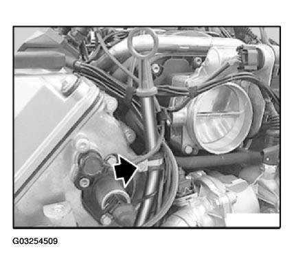 G03254509