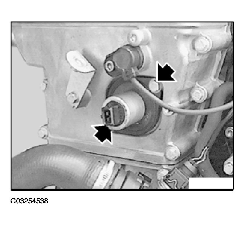 G03254538