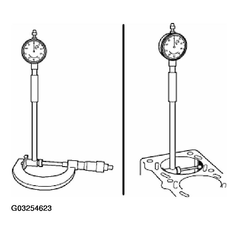 G03254623