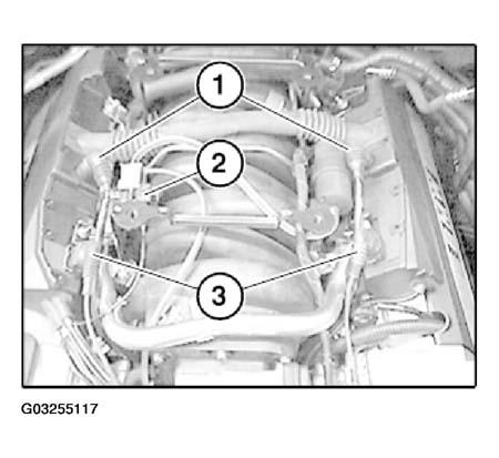 G03255117