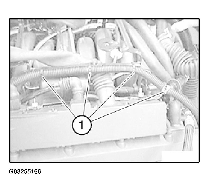 G03255166