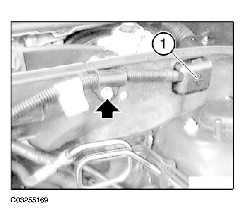 G03255169