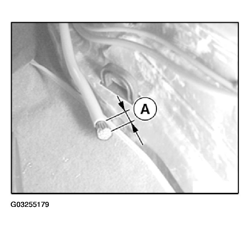 G03255179