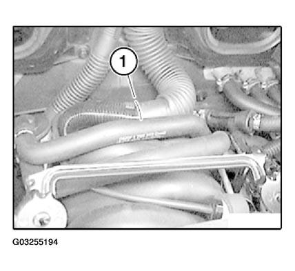 G03255194