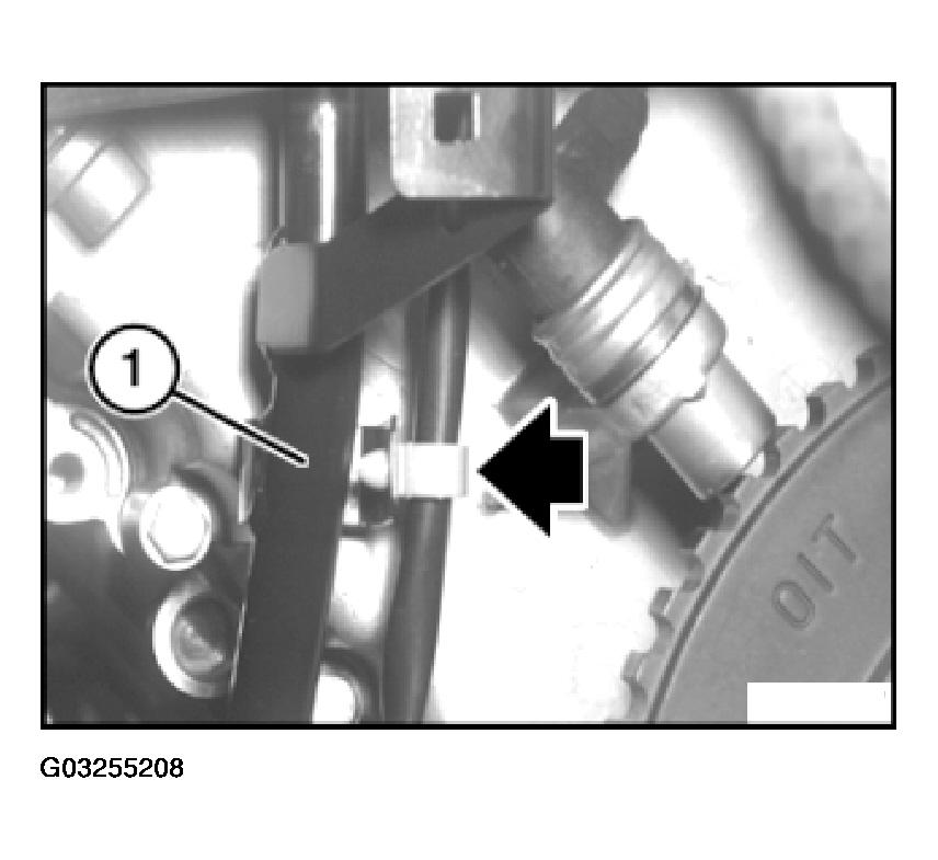 G03255208