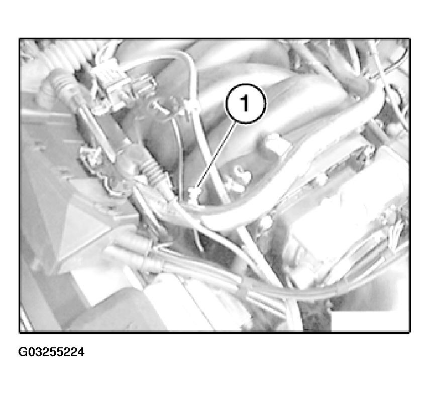 G03255224