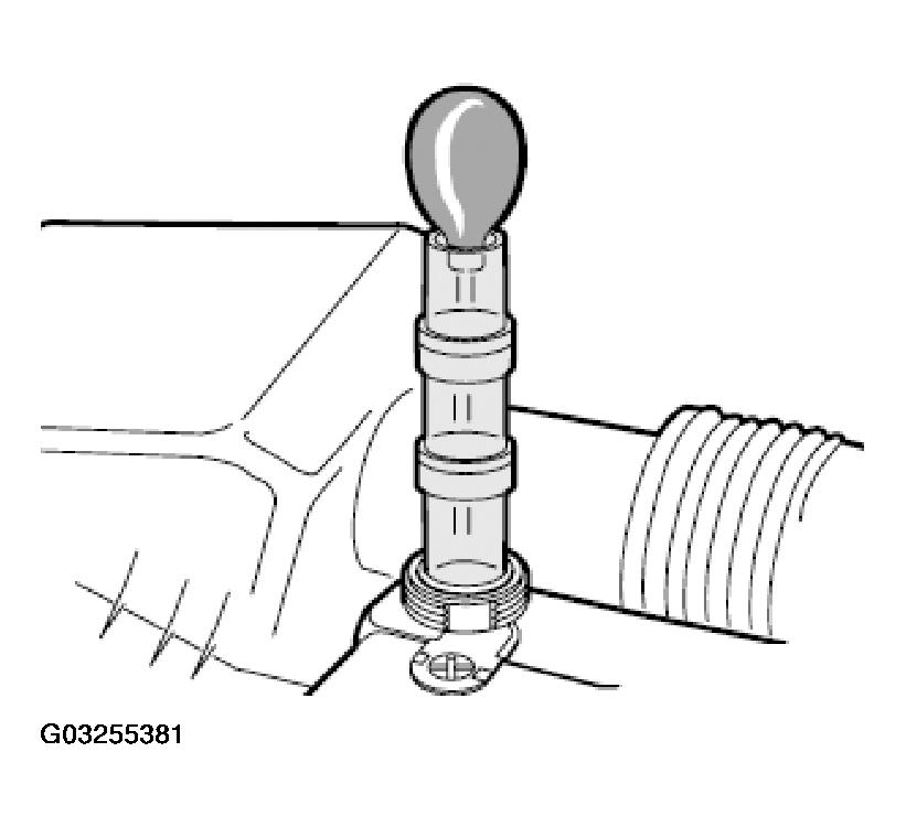 G03255381