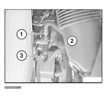 G03255389