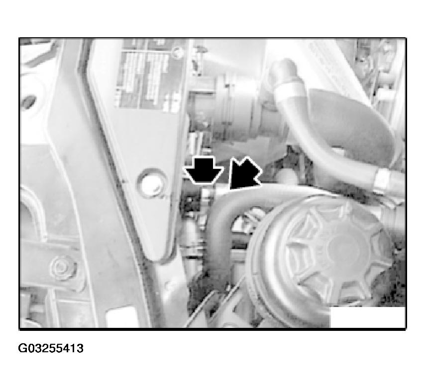 G03255413