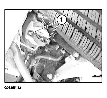 G03255442