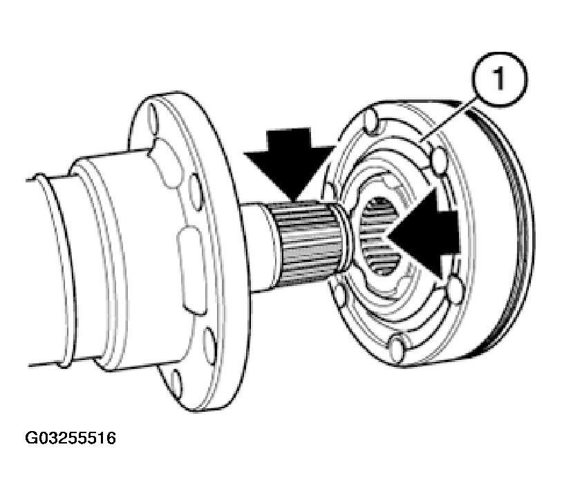 G03255516