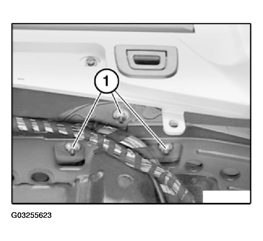 G03255623
