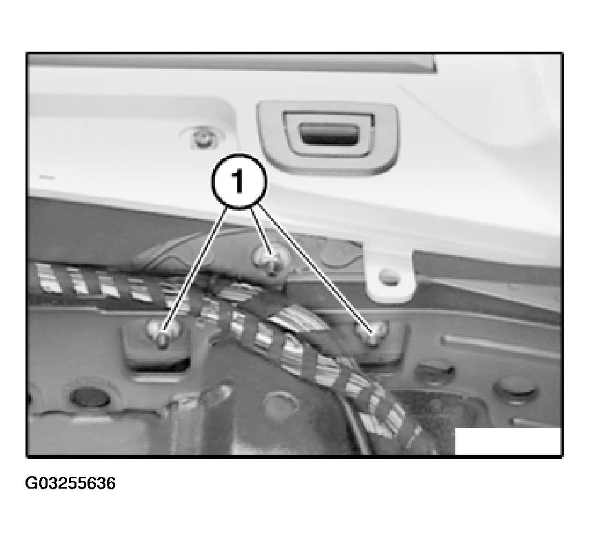 G03255636