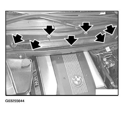 G03255644