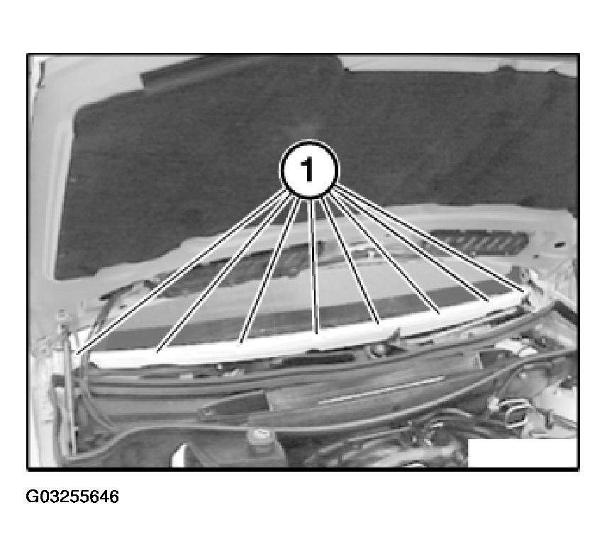 G03255646
