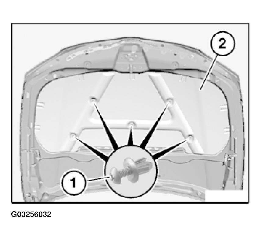 G03256032