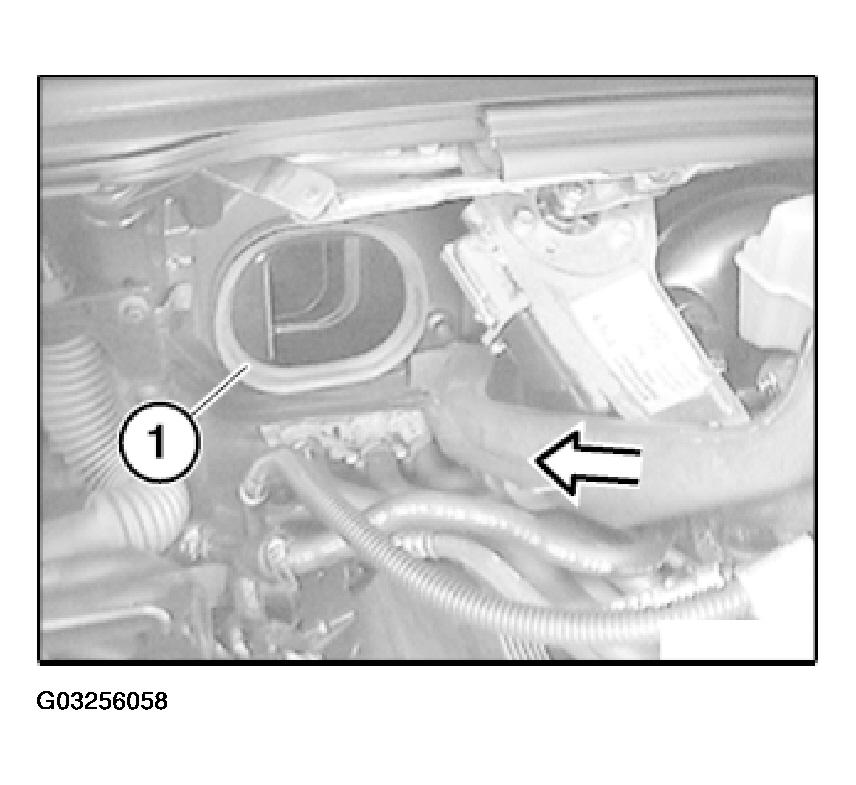 G03256058