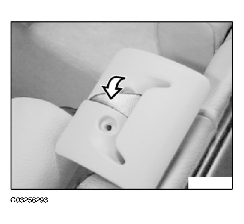 G03256293