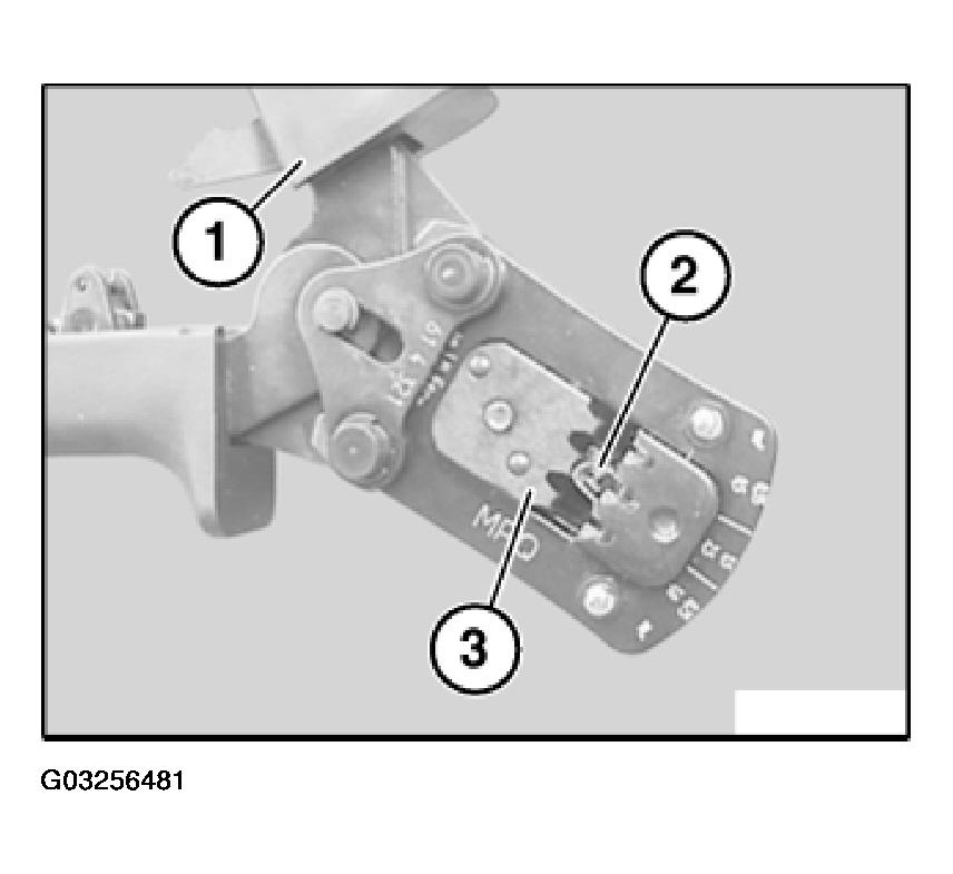 G03256481