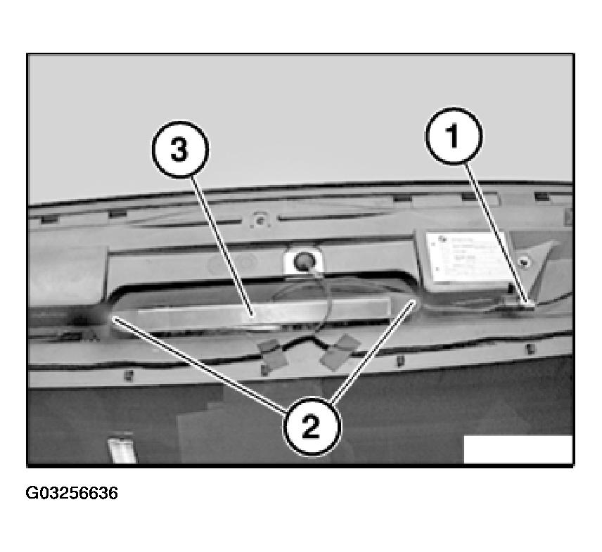 G03256636