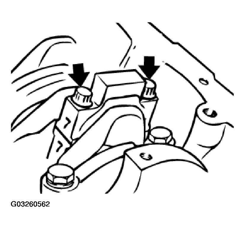 G03260562