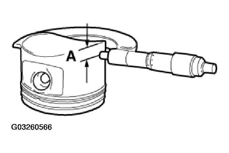 G03260566