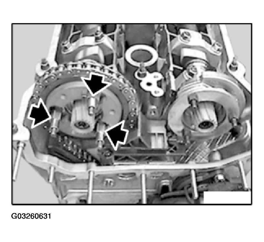 G03260631