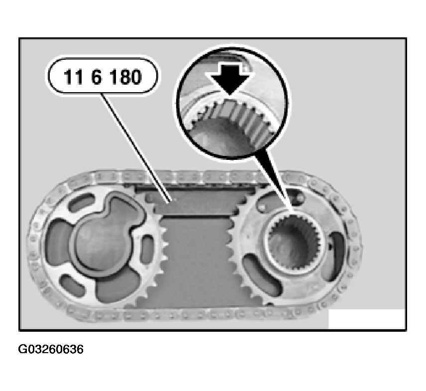 G03260636
