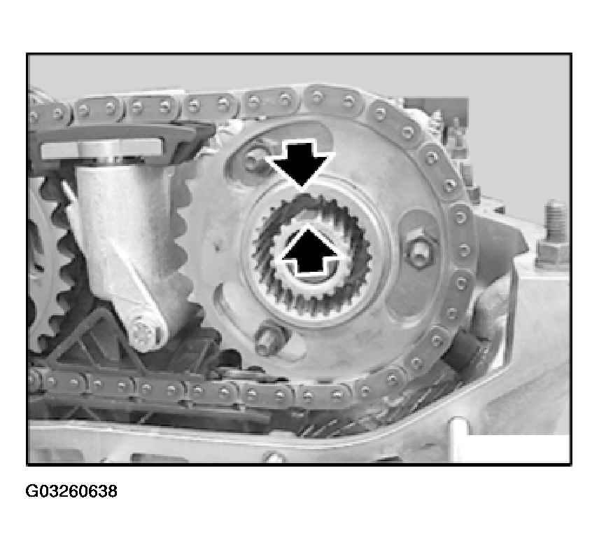 G03260638