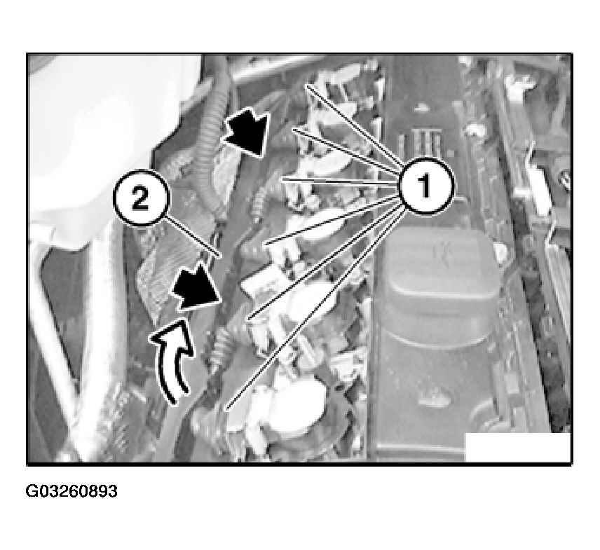 G03260893