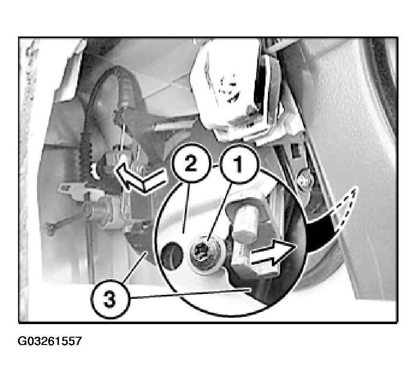 G03261557