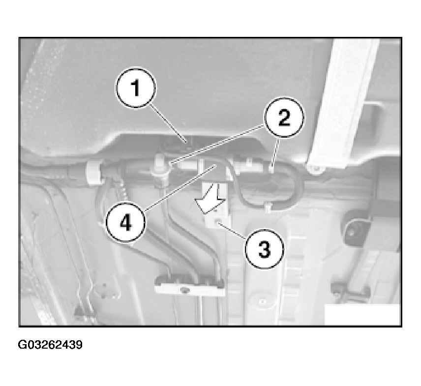 G03262439
