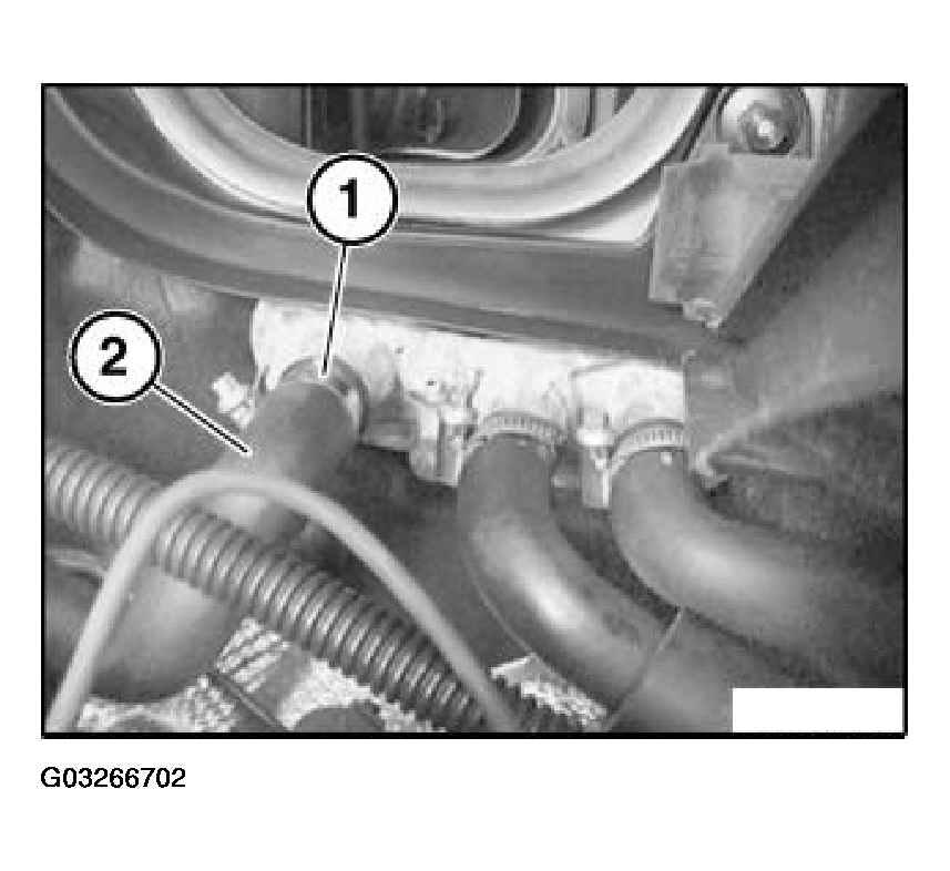 G03266702