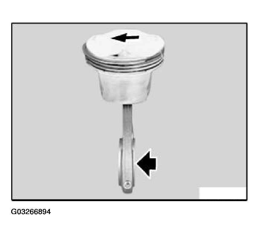 G03266894