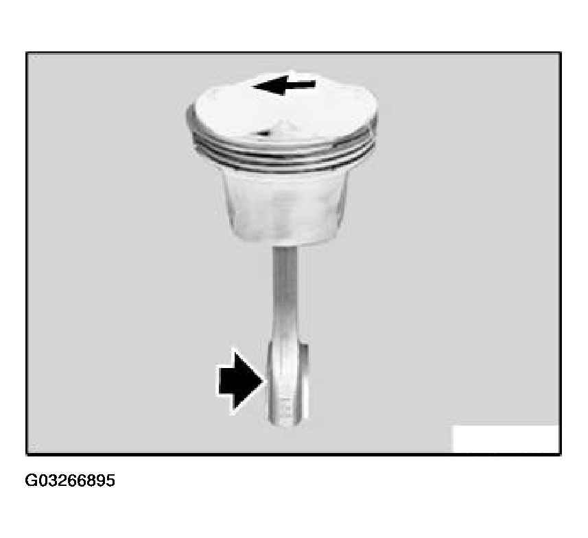 G03266895