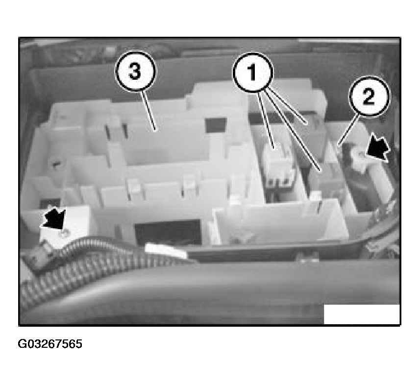 G03267565