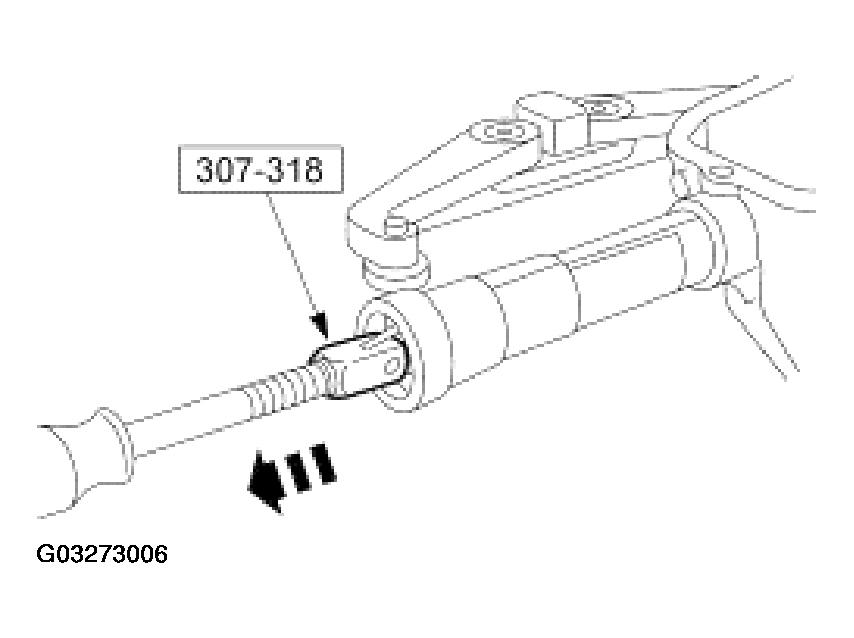 G03273006