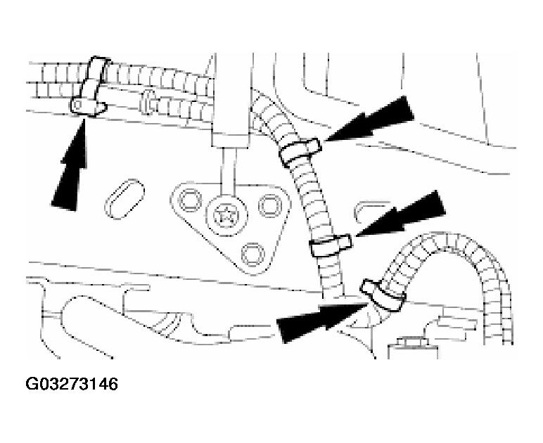 G03273146