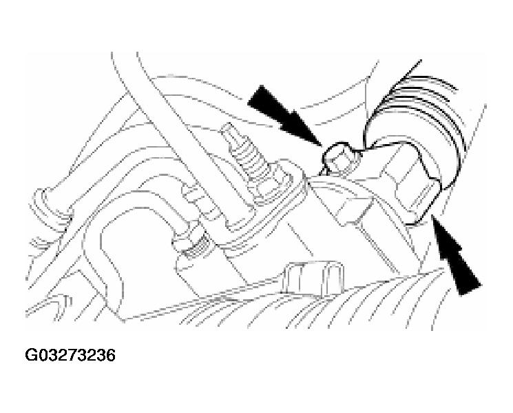 G03273236