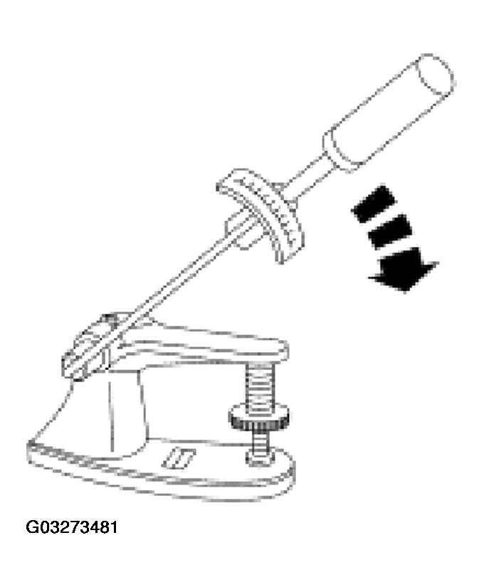 G03273481