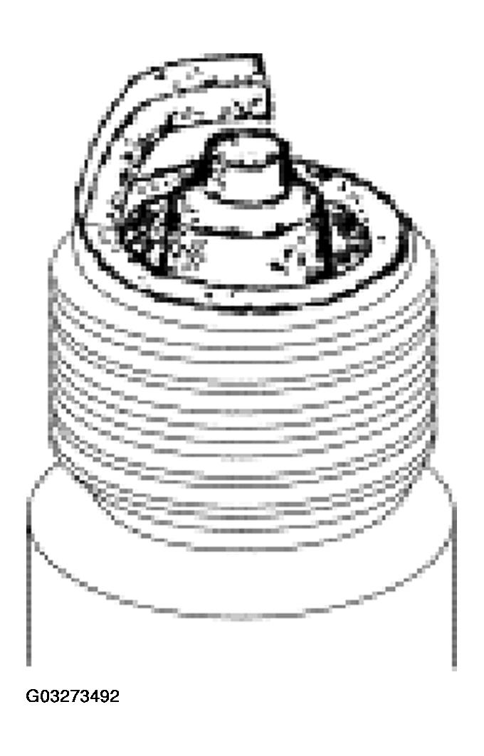 G03273492