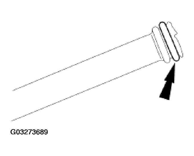 G03273689