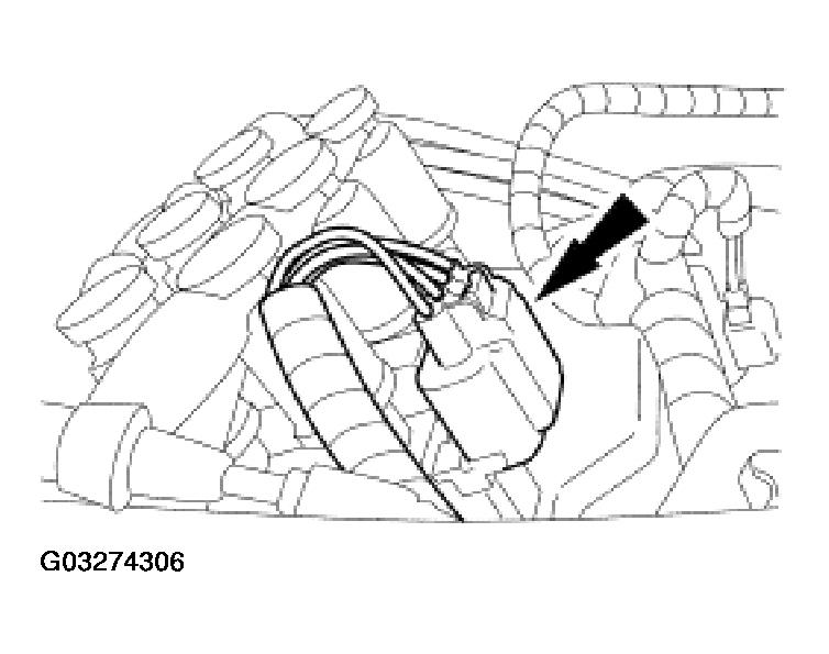 G03274306