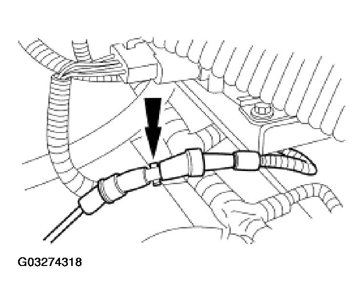 G03274318