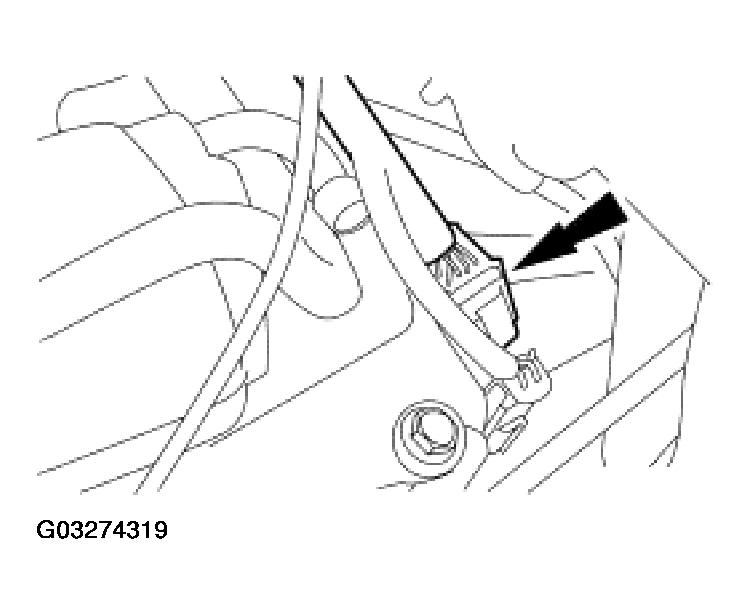G03274319